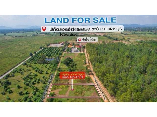 ขายที่ดิน 1 ไร่ พิกัดตำบลไร่ใหม่พัฒนา อำเภอชะอำ เพชรบุรี โฉนดครุฑ