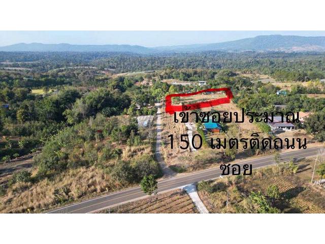 ขายที่ดินบนเขาค้อ จังหวัดเพชบูรณ์ เนื้อที่ประมาณ 3 ไร่