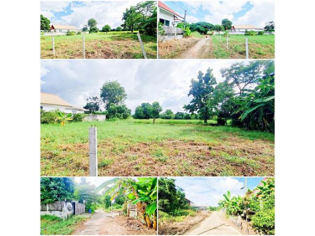 ที่ดินราคาถูกถมแล้วทั้งผืน 2แปลงติดกัน บรรยากาศดี เป็นส่วนตัว แต่ไม่เปลี่ยว น้ำ.ไฟพร้อม เข้า.ออกสะดวก ใกล้เลี่ยงเมือง.ถน