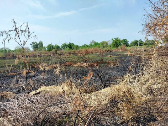 ขายที่ดินโฉนด1ไร่ราคา550,000บาท คลอง13ต.บ้านพริก อ.บ้านนา จ.นครนายกในโครงการ ทอส.ทอ.จ.นครนายกรูปแปลงสี่เหลี่ยมใกล้วัดคลอง31