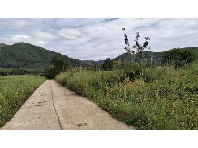 ที่ดิน 3 ไร่ 83 ตรว. วิวเขา ติดทางคอนกรีต ต.เขาแก้ว อ.เชียงคาน จ.เลย