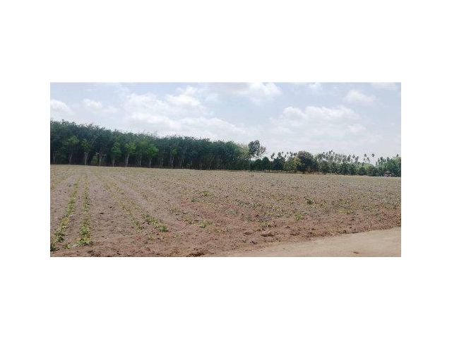 ขายที่ดิน 10 ไร่ ใกล้นิคมอุตสาหกรรมดับบลิวเอชเออีสเทิร์นซีบอร์ด4 ต.แม่น้ำคู้ อ.ปลวกแดง จ.ระยอง