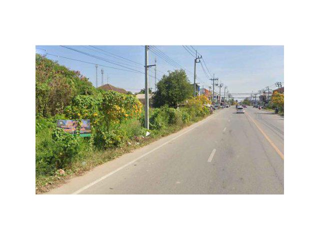 ขายที่ดิน 18 ไร่ ถนนบ้านกล้วย-ไทรน้อย ต.ไทรน้อย อ.ไทรน้อย จ.นนทบุรี