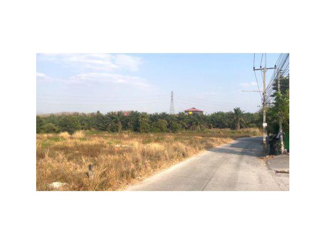 ขายที่ดิน 13 ไร่ ใกล้ถนน 3013 ผังสีม่วง ต.มาบยางพร อ.ปลวกแดง จ.ระยอง