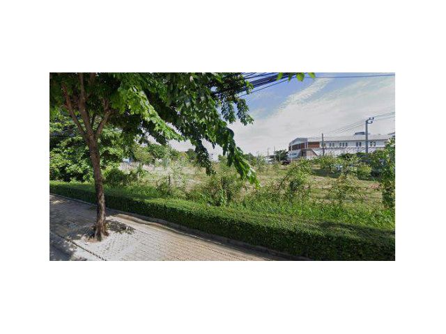 ขายที่ดิน 4 ไร่ ติดถนนลาซาล แขวงบางนา เขตบางนา กรุงเทพมหานคร