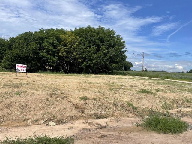 ขายที่ดินสีม่วงลายบ่อวิน 1 ไร่ ซอยเยาวเรศถมแล้วติดถนน2ด้าน ใกล้นิคมอีสเทอร์ซีบอร์ด-5กม. อ.ศรีราชา ชลบุรี