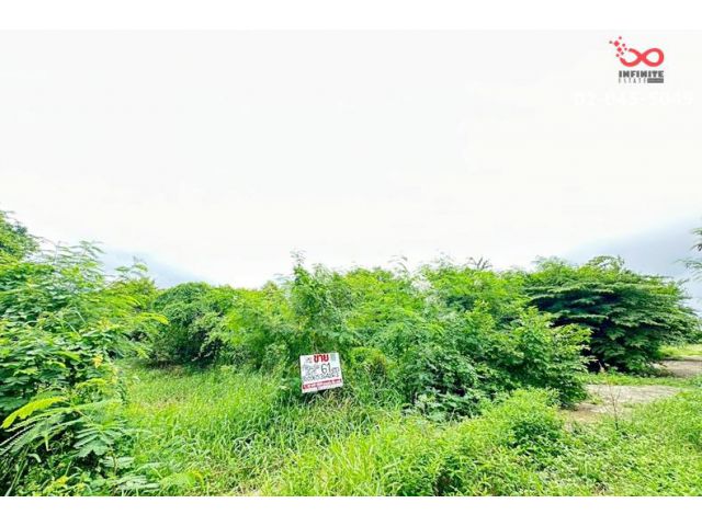 ขายที่ดิน 61ตรว.คลองพระราชาพิมล วัดลาดปลาดุก บางใหญ่ บางบัวทอง นนทบุรี