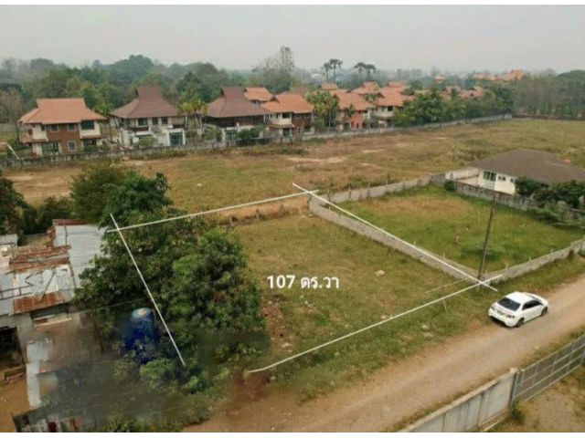 ขายที่ดินแปลงสวย บ้านสันป่าสัก ต.หนองควาย