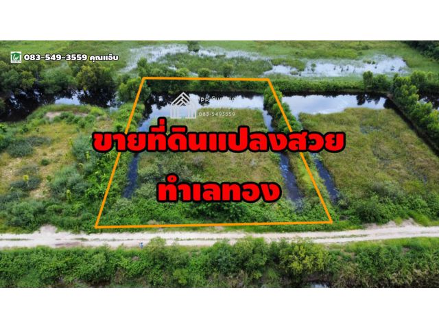 ขายที่ดิน ใกล้ตลาดวังน้อย 2ไร่ ต.ลำตาเสา อ.วังน้อย จ.อยุธยา