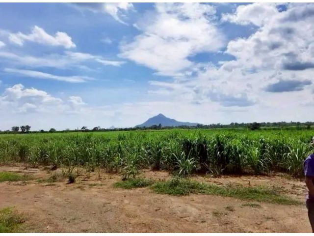 R68-084ขายที่ดินติดถนนลาดยางไฟฟ้าสามเฟส ต.ศิลาทิพย์ อ.ชัยบาดาล จ.ลพบุรี เนื้อที่ 70 ไร่ขายไร่ละ 230,000 บาทโอนฟรี - ที่ดินพื้นที่สีม่วง