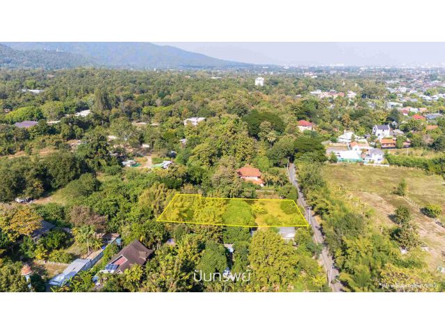 ขาย ที่ดิน 1-0-67 ไร่ ต.หนองควาย อ.หางดง จ.เชียงใหม่