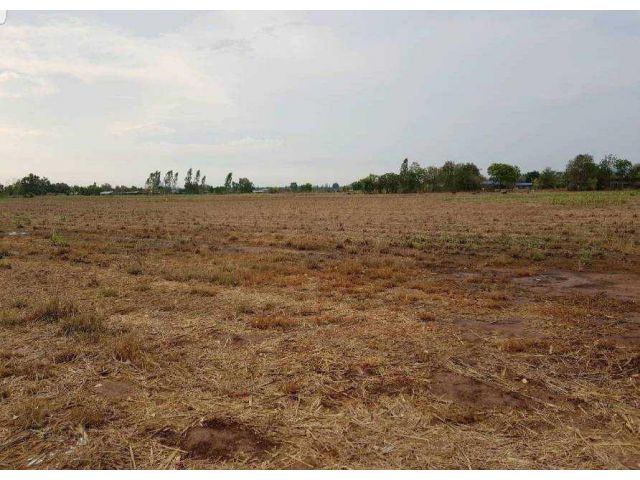 ขายด่วนที่ดินเปล่าโฉนด 2 แปลง 39-2-58 ไร่ ต.รางบัว อ.จอมบึง จ.ราชบุรี ขายยกแปลงไร่ละ 250,000.-