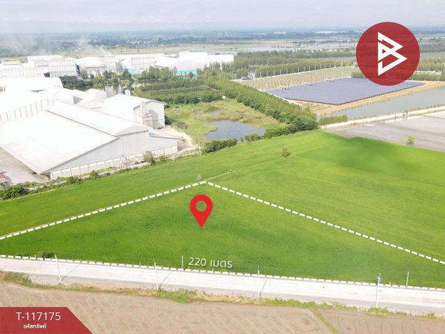 ขายที่ดิน เนื้อที่ 8 ไร่ 2 งาน 10 ตร.วา หันคา ชัยนาท ลดราคา