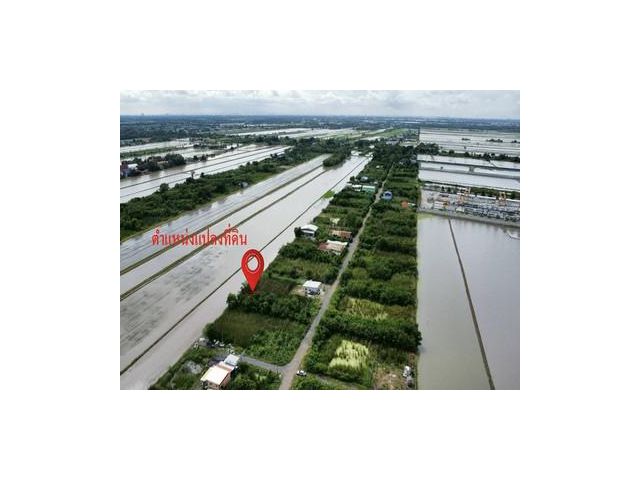 ที่ดิน 4 แปลงใหญ่ 241.6 ตร.วา ทำเลหนองจอกคลองสิบ เหมาะลงทุน
