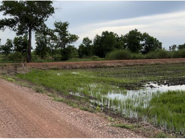 ขายถูกที่สวย 3 ไร่ 87 ตารางวา เหมาะสำหรับทำบ้านสวน โคกหนองนา เลี้ยงปลา เหลือแปลงสุดท้ายแล้ว