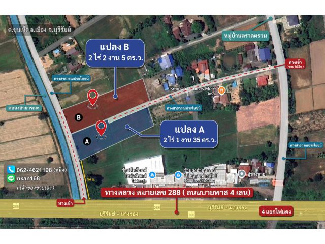 ขายที่ดินทำเลทอง เมืองบุรีรัมย์ เจ้าของขายเอง โฉนดครุฑแดง ใกล้ ม.เฉลิมกาญจนา คริสตจักร รพ.บุรีรัมย์/ 2 ไร่กว่า สองแปลง