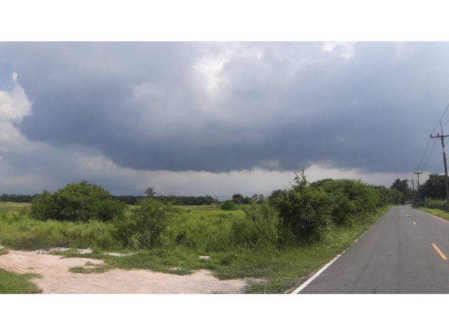 ขายที่ดินแปลงสวย 25 ไร่ ต.หนองชาก อ.บ้านบึง จ.ชลบุรี ใกล้ถนนเส้น 344 ใกล้ตัวเมืองบ้านบ้านบึงชลบุรี