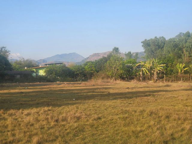 ขายที่ดิน 3 ไร่เศษ ครุฑแดง (ปัจจุบันติดถนนคอนกรีต 2 ด้าน) คลองวังปลาจีด พรหมณี จปร เตรียมทหาร วิวเขาชะโงก 180 สวยๆ สนใจเสนอราคามาได้เลย