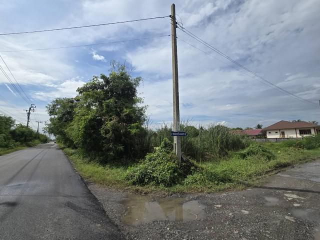 ขายด่วน ที่ดินเปล่า 1.5 ไร่ ขุมทอง-ลำต้อยติ่ง 5 แปลงมุมติดถนน