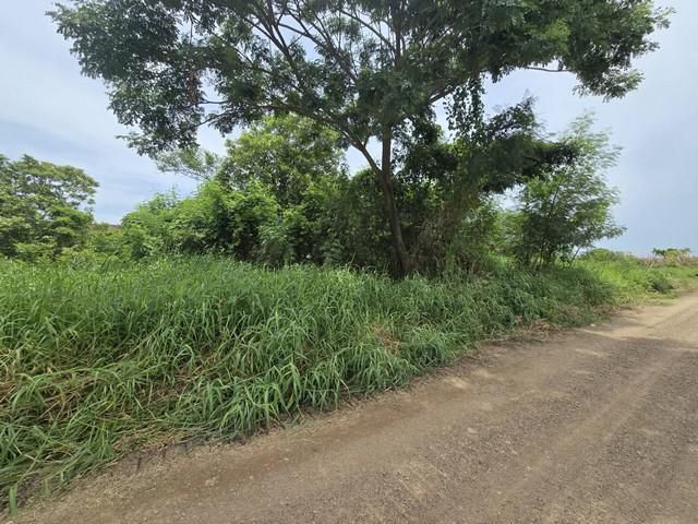 ขายที่ดินถมแล้ว 100 ตร.ว คลองห้า ปทุมธานี ทำเลดี ใกล้ราชมงคล