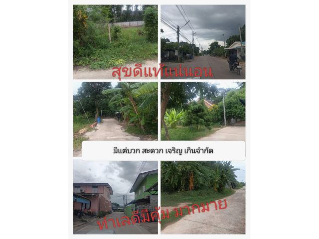 สวยสมจนตระหนกจนตกใจ ในพื้นที่ดินให้สิ้นสงสัย สวยน่าพอใจแล้วไปต่อด้วยราคานี้ เท่าที่เคยมีมา