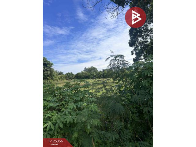 ขายที่ดิน เนื้อที่ 2 ไร่ นาหว้า นครพนม