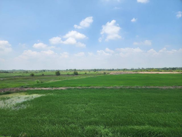 L902 ขายที่ดินใกล้ตัวเมืองปราจีนบุรี 15 ไร่ หน้ากว้าง 186 เมตร