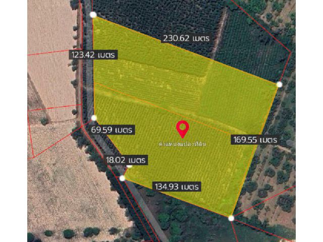 ขายที่ดินบ้านซ่อง 20 ไร่ ใกล้ถนนเส้น319-2กม. อ.พนมสารคาม ฉะเชิงเทรา