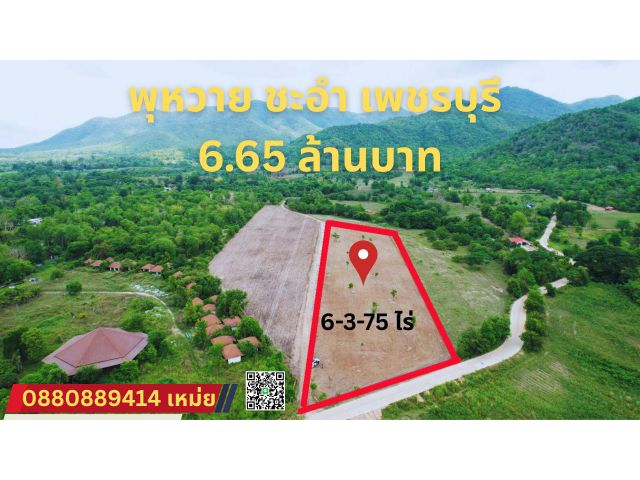 ที่ดิน พุหวาย ชะอำ เพชรบุรี ขนาด 6.375 ไร่