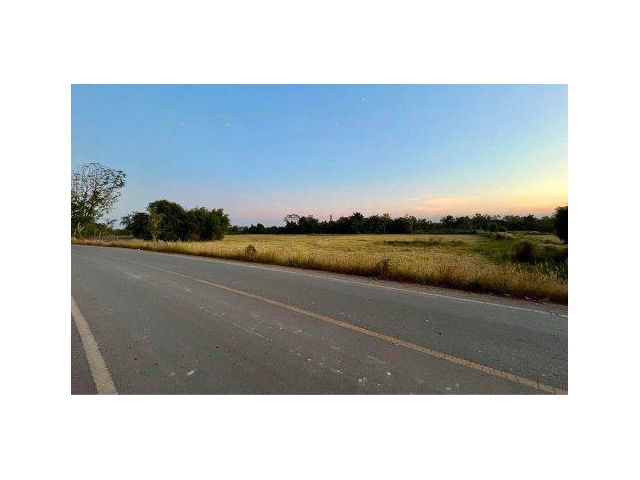 ขายที่ดิน 124 ไร่ ผังสีม่วง ต.บ่อทอง อ.กบินทร์บุรี จ.ปราจีนบุรี