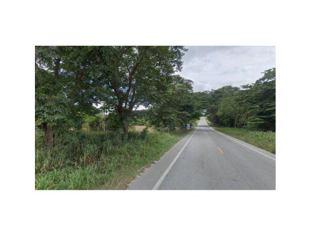 ขายที่ดิน 25 ไร่ ถนนนิคมพัฒนาซอย 12 ถนน รย.2026 ต.พนานิคม อ.นิคมพัฒนา จ.ระยอง