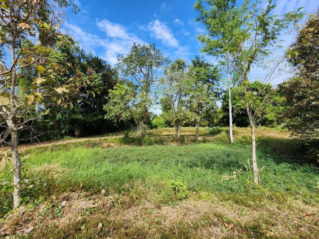 L906 ขายที่ดินทำเลดี 1 ไร่ กบินทร์บุรี ปราจีนบุรี