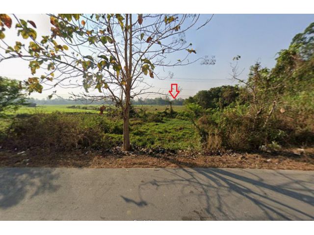 ขายที่ดินดอยสะเก็ด จังหวัดเชียงใหม่ ติดถนนใหญ่