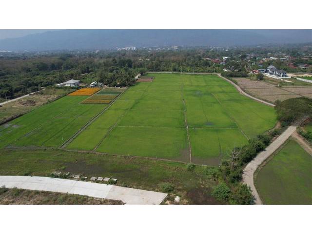 ขายที่ดินเขตอำเภอเมือง เชียงใหม่ วิวเขา เริ่มต้น 85 ตร.วา ราคาถูก