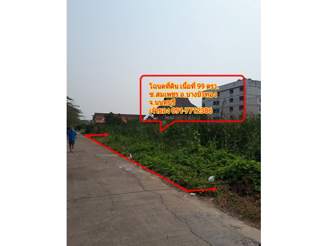 ที่ดินแปลงสวย บางบัวทอง ทำเลทองใกล้เมือง 99 ตรว. ทำเลดีติดถนนซอยสมเพชร