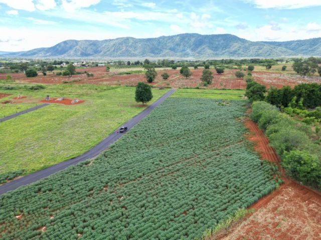 ขายที่ดินปากช่อง คลองม่วง 64 ไร่ ติดลำห้วยใกล้ถนนเส้น2235-1.9กม. จ.นครราชสีมา