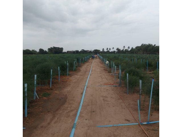 ขายที่ดิน 7 ไร่ ด้านหน้าติดถนน ด้านหลังติดคลอง ต.หนองงูเหลือม อ.เมืองนครปฐม จ.นครปฐม