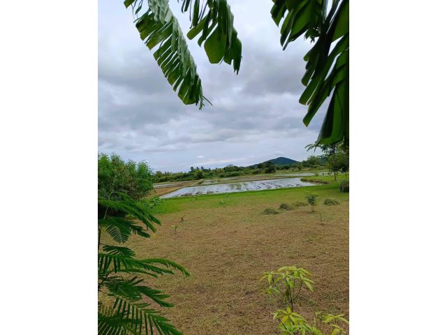 ที่ดินติดวิวเขาบรรยากาศดี เตาปูน เเบ่งขาย 5 ไร่