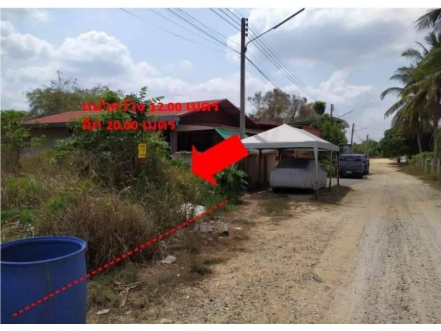 L914 ขายที่ดิน 60 ตรว บางละมุง ชลบุรี