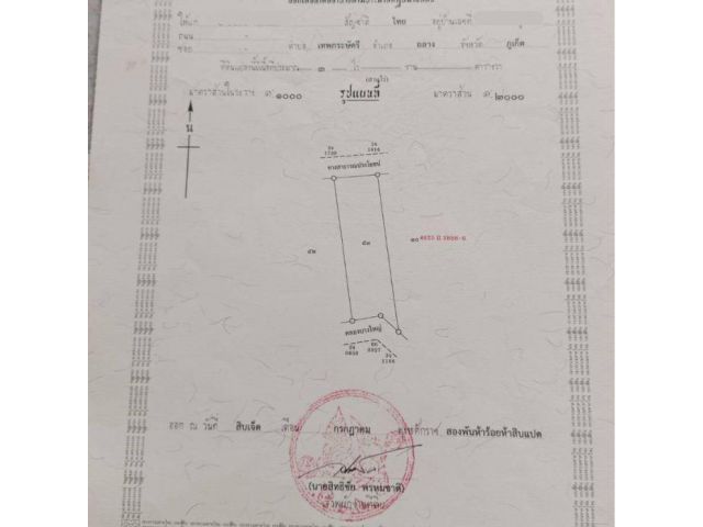 ขายที่ดิน ภูเก็ต 5 ไร่ๆละ 6.5 ล้าน