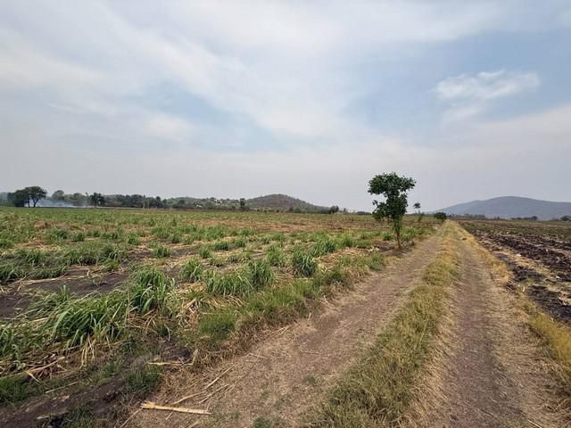 ขายที่ดินอำเภอตากฟ้า จังหวัดนครสวรรค์ เนื้อที่ 31 ไร่ 2 งาน 86 ตา