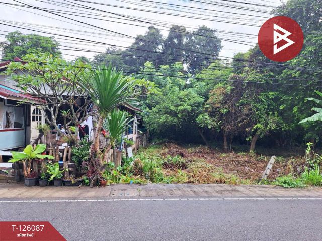 ขายที่ดิน เนื้อที่ 1 งาน 96 ตร.วา บ้านจั่น อุดรธานี