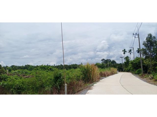 เสนอขายที่ดินแปลงเปล่า ติดถนนคอนกรีต อยู่ใกล้ถนนลาดยางเส้นแสลงไปวังแซ้ม เนื้อที่ 25 ไร่ อำเภอมะขาม จังหวัดจันทบุรี