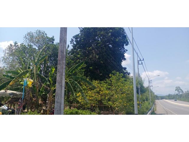 !!!ที่ดินติดถนนสี่เลนเส้น 3249 สามารถแบ่งขายได้ 10 ไร่ขึ้นไป!!! เสนอขายที่ดินเหมาะสำหรับทำธุรกิจล้งรับซื้อผลไม้ โกดัง