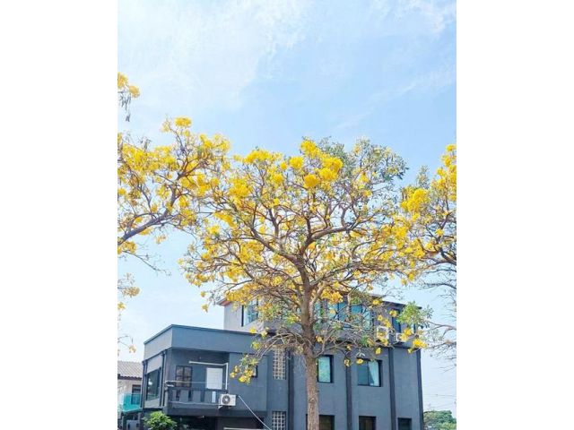 MRTแจ้งวัฒนะ14 โฮมออฟฟิศ 3 ชั้น วิวสวน ย่านประชาชื่น-งามวงศ์วาน