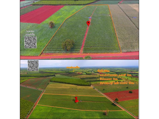 ขายที่ดินวิวสวย 11ไร่ ไร่ละ150,000 ติดถนนสองด้าน อ.ครบุรี จ.นครราชสีมา