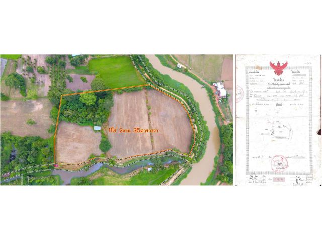 ***ขายที่ดิน11ไร่ 350,000บ./ไร่ โฉนด ดินดีติดคลองน้ำสองด้าน อ.นางรอง จ.บุรีรัมย์ ***