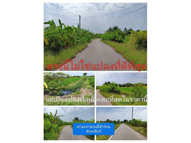 แปลงที่ไม่ประหยัดความสวยก็เลยต้องอวยกันหน่อย แปลงสวยเล็กน้อยถึงปานกลาง ชอบเมื่อได้เห็นเป็นคำตอบสุดท้าย