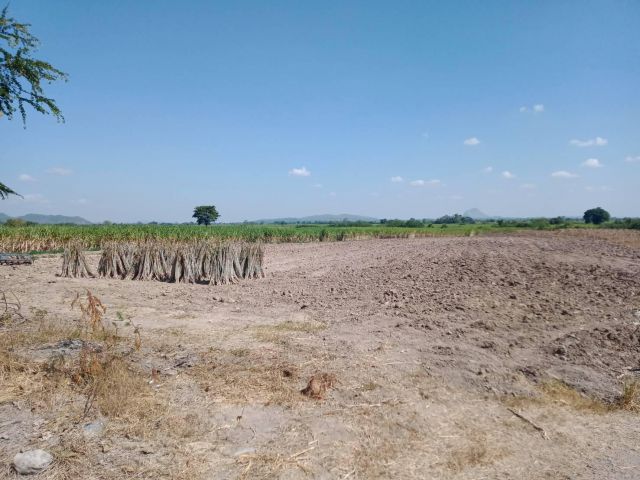 ภดส.11 จำนวน 140 ไร่