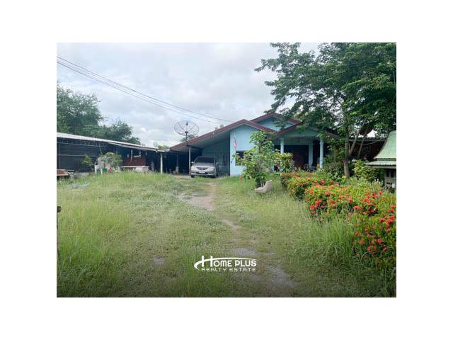 ที่ดินพร้อมบ้านเดี่ยวชั้นเดียว อำเภอสามชุก สุพรรณบุรี เนื้อที่ 3 ไร่ 3 งาน 98 ตารางวา